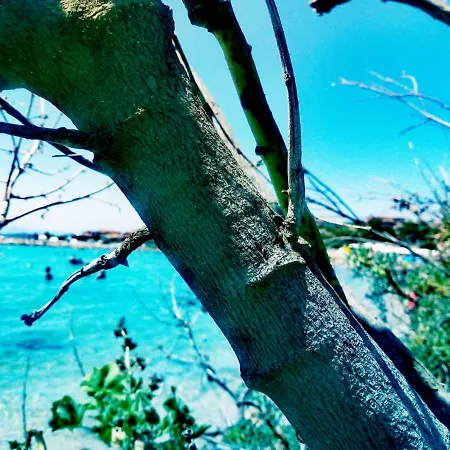 Le Stanze Del Mare Apartahotel Golfo Aranci