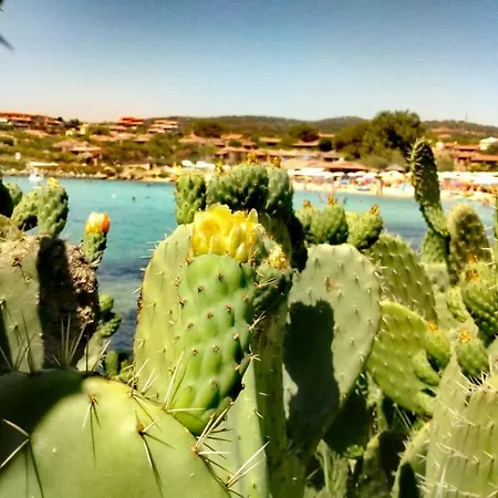 Apartahotel Le Stanze Del Mare