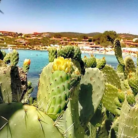 Ξενοδοχείο με διαμερίσματα Le Stanze Del Mare Golfo Aranci