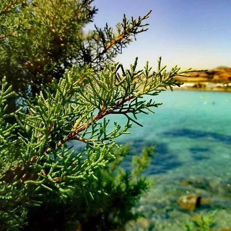 Le Stanze Del Mare 3* غولفو أرانتْشي